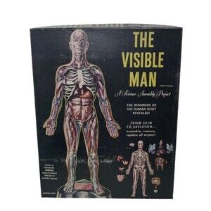 Renwal 1959 The Visible Man Skeleton Science Project Model Assembly Kit